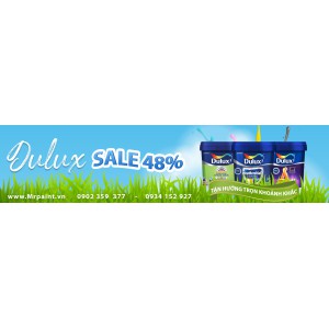 SƠN DULUX (54)